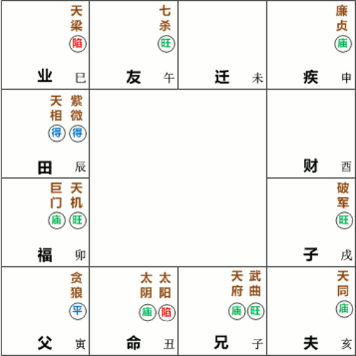 太阳太阴在丑未守命宫 难做合理调和 踌躇难定 紫微麥 Ziwei My